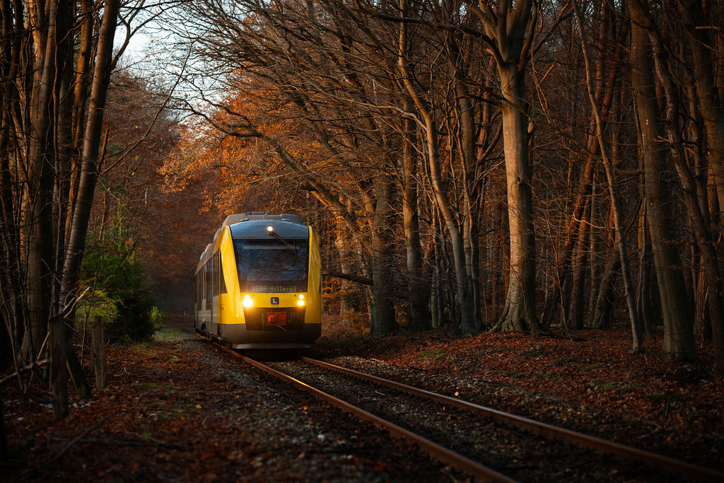 Løvfald kan betyde udfordringer for togtrafikken