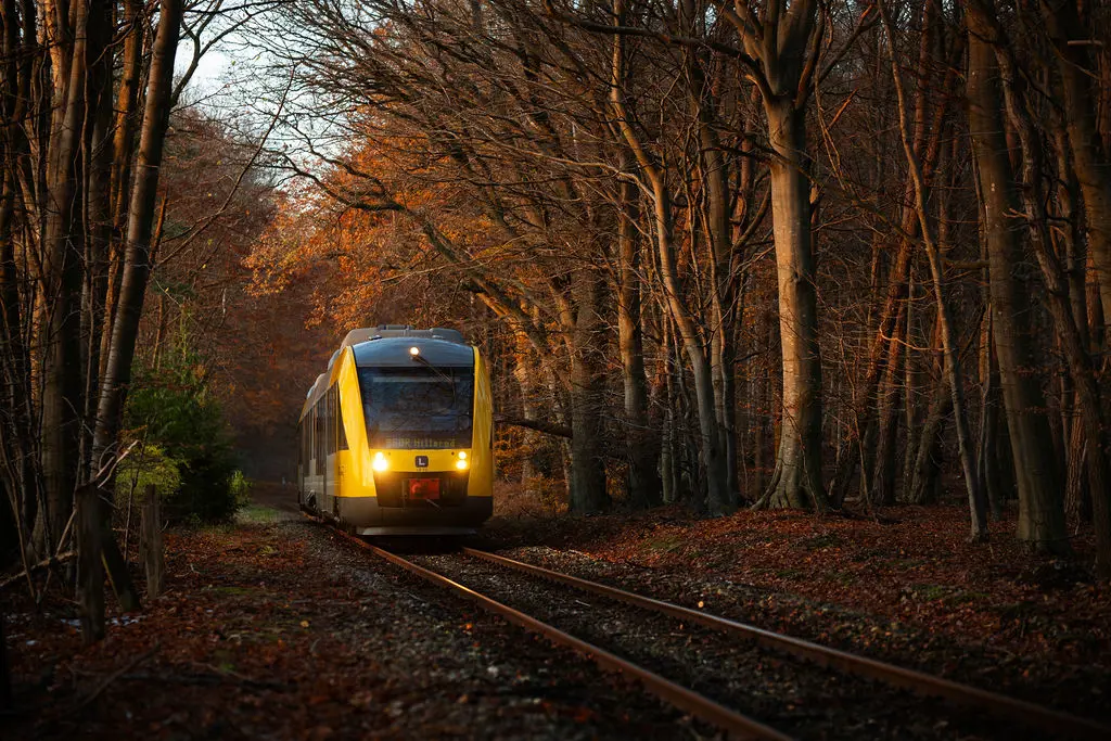 Løvfald kan betyde udfordringer for togtrafikken