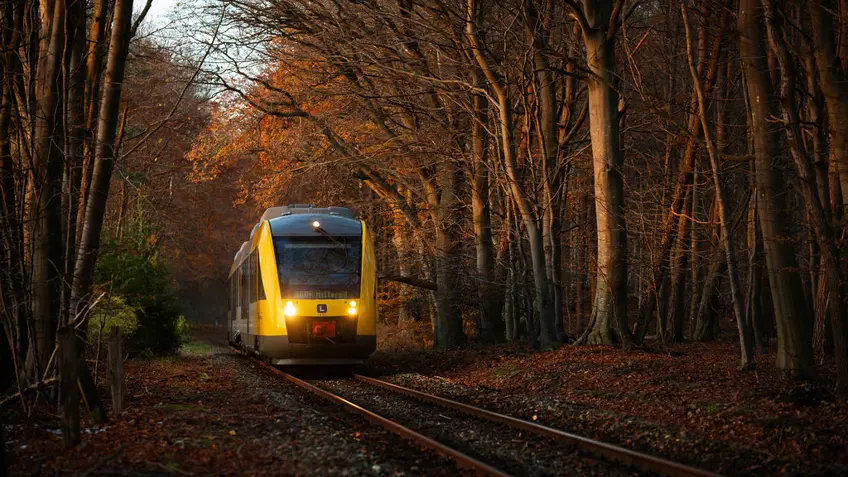 Løvfald kan betyde udfordringer for togtrafikken