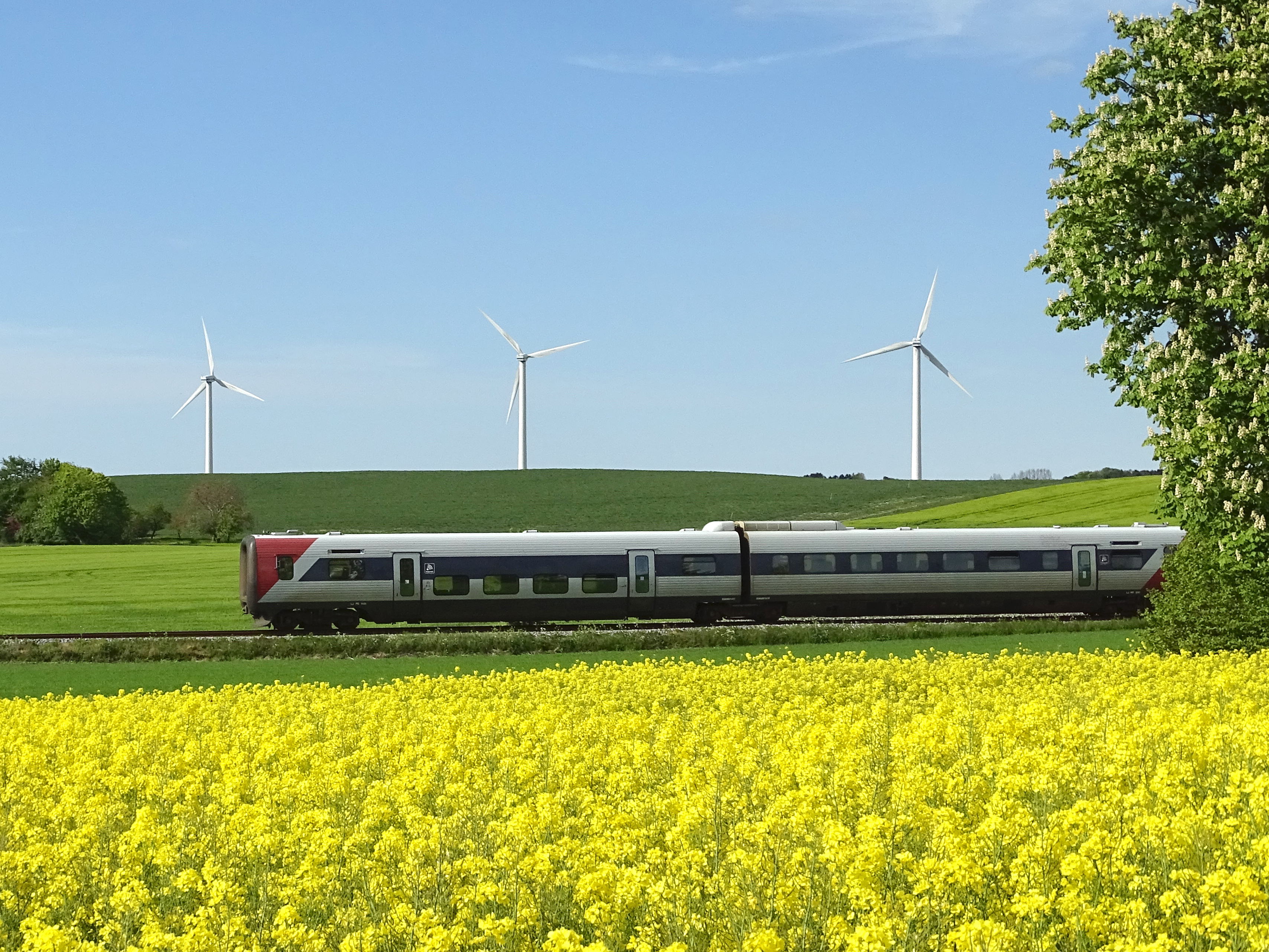 Skinnerne er lagt til den danske sommer